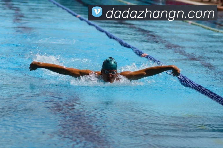 澳亚国际首页平台生态图