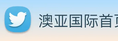 澳亚国际首页 Logo